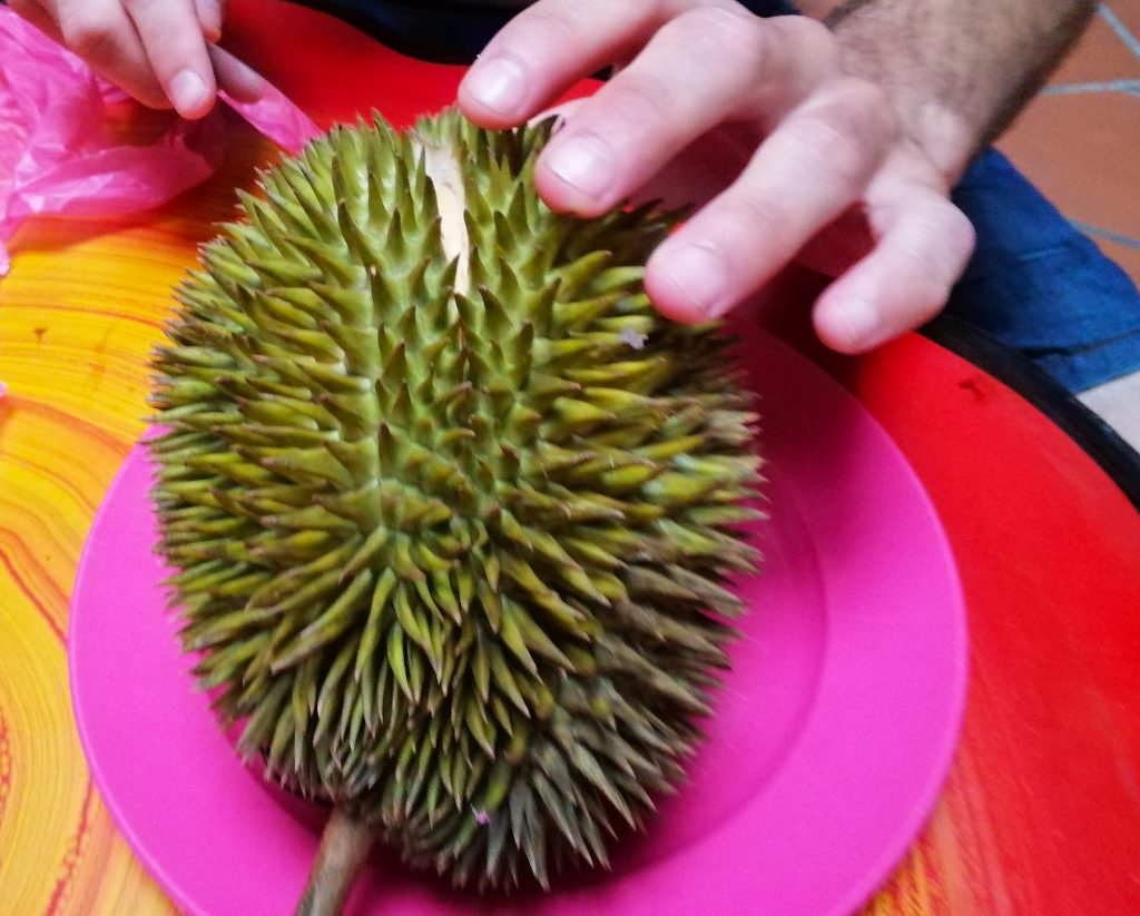 Durian, la fruta más típica de Malasia